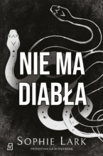 Nie ma diabła [Grzesznicy - t.2]